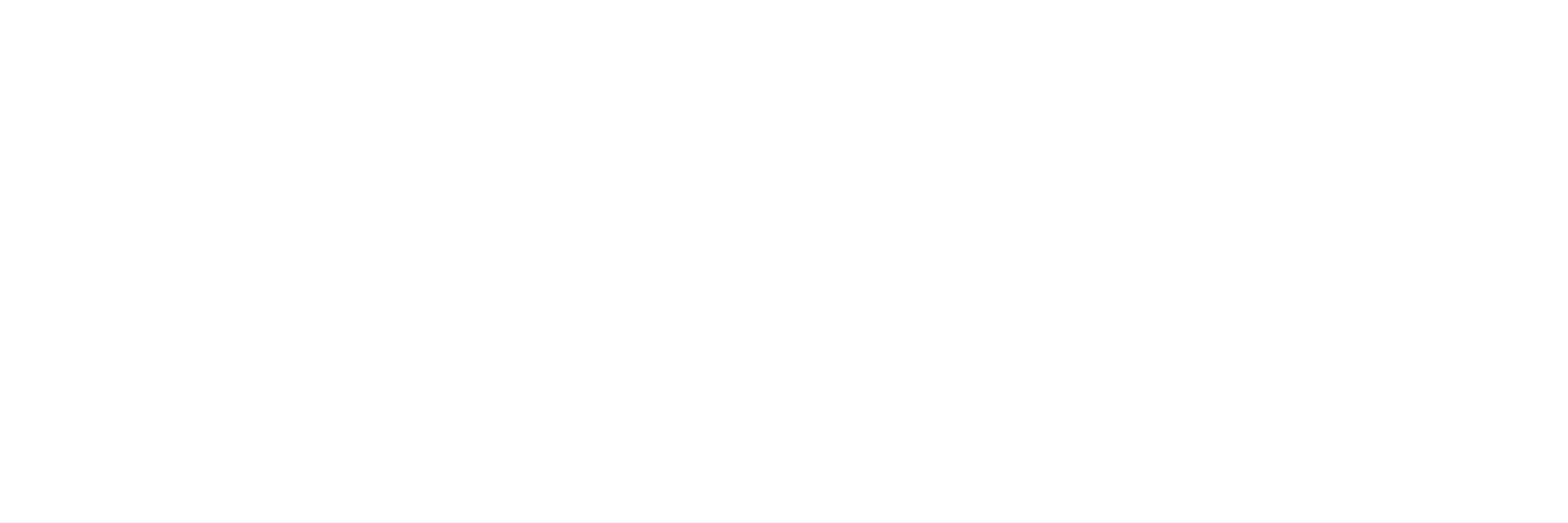 NAUTILUS PROJECT
